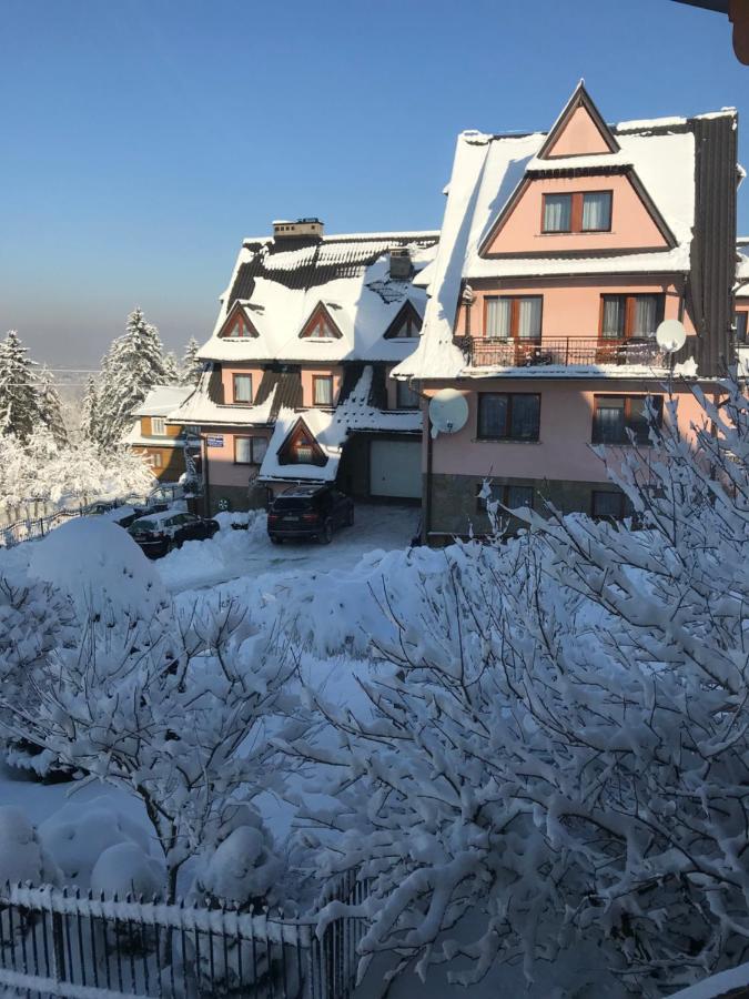 Bed and Breakfast Pokoje U Borzana Бялы-Дунаец Экстерьер фото